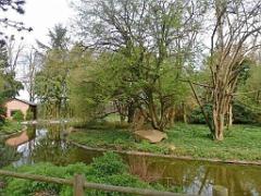 149 BIO PARC DE DOUE LA FONTAINE 7- 2016_000052